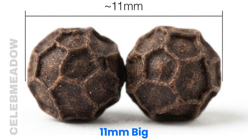 Two Peppercorns Side-by-Side That Is 11mm Big