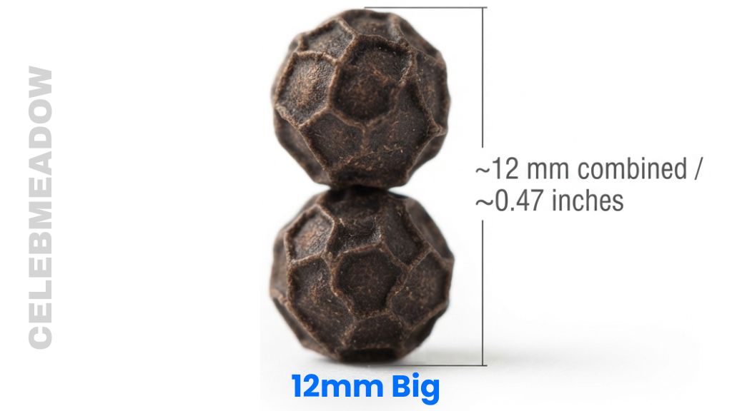 Two Stacked Peppercorns That Is 12 mm Big