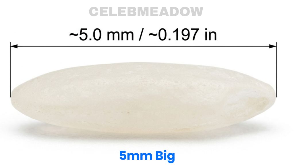 Uncooked Short-Grain White Rice That Is 5mm Big